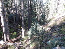 photo thumbnail #8