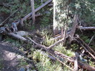 photo thumbnail #9
