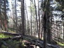 photo thumbnail #11