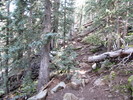 photo thumbnail #12