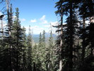 photo thumbnail #13