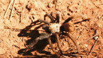 photo thumbnail #3
