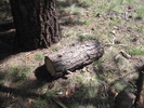 photo thumbnail #6