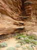 photo thumbnail #10