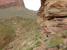 photo thumbnail #11