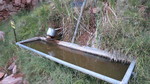 photo thumbnail #1
