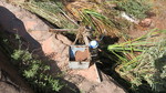 photo thumbnail #11