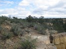 photo thumbnail #6