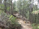 photo thumbnail #8