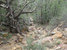 photo thumbnail #9