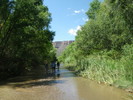 photo thumbnail #2