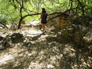 photo thumbnail #8