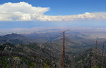 photo thumbnail #7