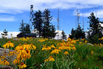 photo thumbnail #10