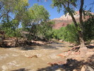 photo thumbnail #8