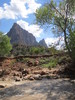 photo thumbnail #10