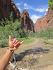 photo thumbnail #8