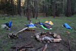 photo thumbnail #1