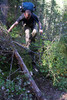 photo thumbnail #2