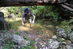 photo thumbnail #9