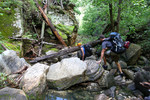 photo thumbnail #11