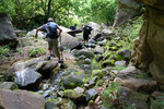 photo thumbnail #13