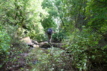 photo thumbnail #15