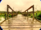 photo thumbnail #2