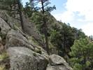 photo thumbnail #14