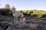 photo thumbnail #14