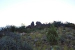 photo thumbnail #15