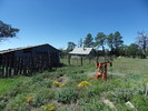 photo thumbnail #1