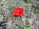 photo thumbnail #14