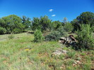 photo thumbnail #7