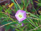 photo thumbnail #15