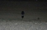 photo thumbnail #6