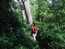 photo thumbnail #9