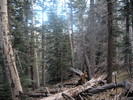 photo thumbnail #1