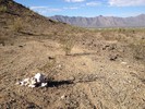 photo thumbnail #3