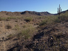 photo thumbnail #4