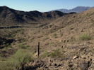 photo thumbnail #7
