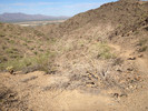 photo thumbnail #8