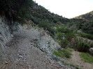 photo thumbnail #2