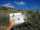photo thumbnail #4