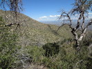 photo thumbnail #9