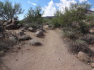 photo thumbnail #5
