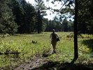 photo thumbnail #3