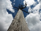 photo thumbnail #14