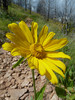photo thumbnail #3