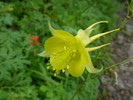 photo thumbnail #4